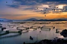 沭阳伴游中国网景点丰富(旅游网介绍)