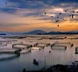 沭阳伴游中国网景点丰富(旅游网介绍)