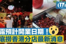 沭阳香港酒店雇用高薪伴游(高端伴游雇用)