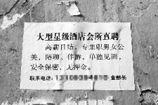 沭阳珠海伴游雇用网(珠海游览社雇用信息)