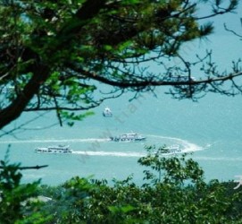 沭阳中国伴游网与你分享旅游的点滴(中国伴游网与你分享旅游的点滴是什么)