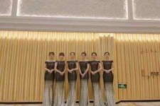 沭阳杭州模特礼节兼职群(杭州兼职商务模特经纪人微信)