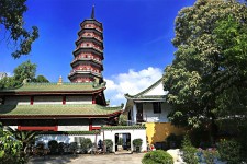 沭阳广州自由行(广州 自由行)