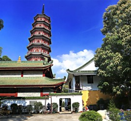 沭阳广州自由行(广州 自由行)