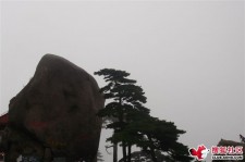 沭阳上海伴游私家陪游雇用女模(上海伴游私家陪游雇用女模特)