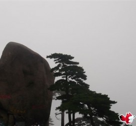 沭阳上海伴游私家陪游雇用女模(上海伴游私家陪游雇用女模特)