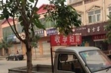 沭阳上海伴游 用伴游造句大全(5