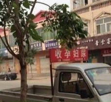 沭阳上海伴游 用伴游造句大全(5