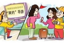 沭阳伴游是什么
