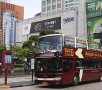 沭阳上海私人伴游 上海过年怎么玩？这些“微游”线路了解下→