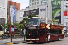 沭阳上海私人伴游 上海过年怎么玩？这些“微游”线路了解下→
