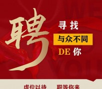 沭阳商务伴游招聘 重庆星级酒店诚招司机服务员夜场保安