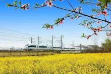 沭阳高铁游(高铁游戏下载手机版)