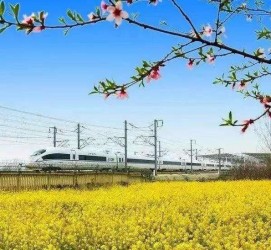 沭阳高铁游(高铁游戏下载手机版)