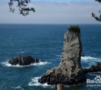 沭阳旅游全攻略(上海旅游全攻略)