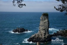 沭阳旅游全攻略(上海旅游全攻略)