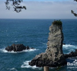 沭阳旅游全攻略(上海旅游全攻略)