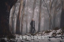 沭阳上海私人伴游 上海伴游，上海兼职伴游安全吗