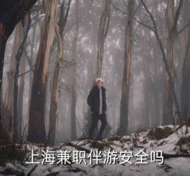 沭阳上海私人伴游 上海伴游，上海兼职伴游安全吗