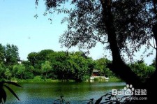 沭阳西湖旅游攻略(上海到杭州西湖旅游攻略)