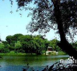 沭阳西湖旅游攻略(上海到杭州西湖旅游攻略)