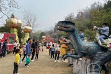 沭阳中国伴游带你打卡网红南山竹海(南山竹海网上预约)
