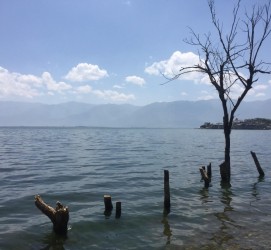 沭阳洱海旅游攻略(洱海旅游攻略自由行)