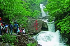 沭阳安吉旅游攻略(湖州安吉旅游攻略)