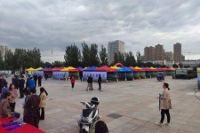 沭阳通辽伴游雇用(哈尔滨伴游雇用)