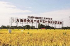 沭阳关于成都商务伴游外围雇用的信息
