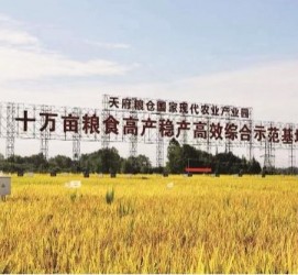 沭阳关于成都商务伴游外围雇用的信息