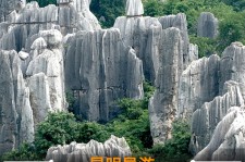 沭阳贵阳市游览社英语伴游雇用(贵阳市前十名游览社是哪几家)