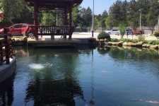 沭阳久久伴游**(久久游代理)