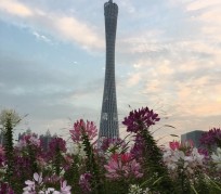 沭阳广州旅游攻略(杭州到广州旅游攻略)