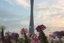 沭阳广州旅游攻略(杭州到广州旅游攻略)