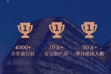 沭阳上海私人伴游 ​ “小而美”的新时代：2020年国内新跟团消费报告