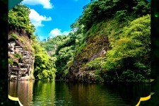 沭阳旅游报价(旅行团旅游报价)