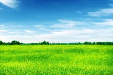 沭阳上海伴游 上海模特伴游微信号的交友宣言