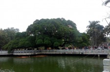 沭阳福州旅游攻略(福州旅游攻略二日游)