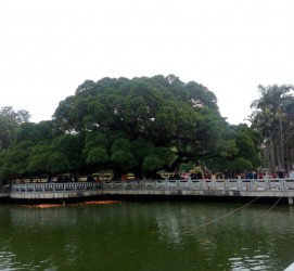 沭阳福州旅游攻略(福州旅游攻略二日游)