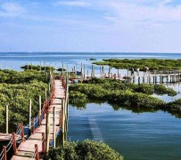 沭阳旅游哪里好玩(云南旅游哪里好玩)