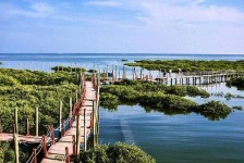 沭阳旅游哪里好玩(云南旅游哪里好玩)