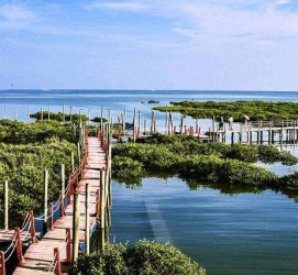 沭阳旅游哪里好玩(云南旅游哪里好玩)