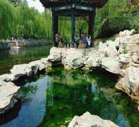 沭阳济南旅游攻略(青岛威海济南旅游攻略)