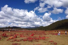 沭阳旅游去处(暑期最好的旅游去处)