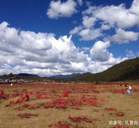 沭阳旅游去处(暑期最好的旅游去处)