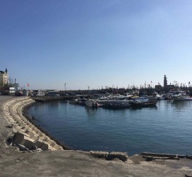 沭阳大连旅游攻略(大连旅游攻略自由行)