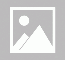 沭阳私人伴游 黄金周里动“黄”经 天津又现“私人陪游”逆流